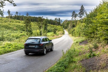 Obraz na płótnie Canvas Asphalt road through green forest, trees, pines, spruces. Asphalt road curve pass through the green forest tree. Forest road in the Czech Republic.
