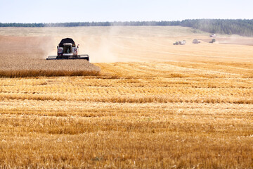 Combine harvester in action, finishing the line on agricultural field, harvesting, horizontal image