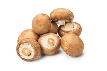 Tasty mushroom isolated on white background.