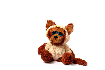 toy soft fluffy cat, with sad eyes, on a white background, no people 