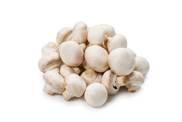 Fototapeta na wymiar Champignon mushroom isolated on white background.