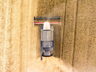 Combined harvester-thresher with tanker is at work on wheat field, top view
