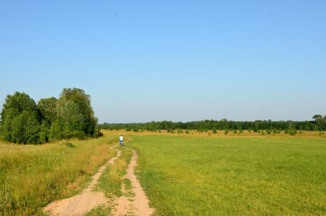 Sandy rural road in meadows