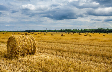 Haystack agriculture field landscape. Agriculture field haystacks. rural yellow field