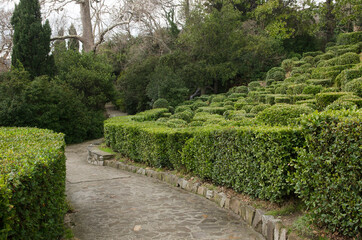 Park in Alupka (Crimea)