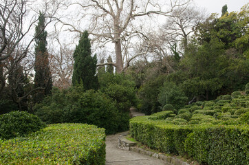 Park in Alupka (Crimea)