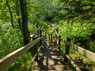 Stairs and walkways in Embute nature park Latvia.