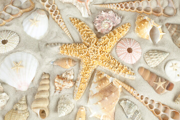 Fototapeta na wymiar Starfish and seashells