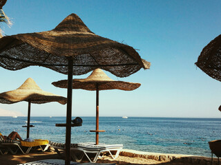 umbrellas on the beach