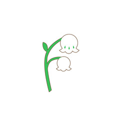 an illustration of Lily of the valley