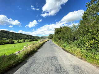 Fototapeta na wymiar Country road, leading to Buckden, with fields, wild plants, sheep and trees near, Starbotton, Skipton, UK