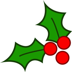 Christmas holly  berry leaf illustration on white background