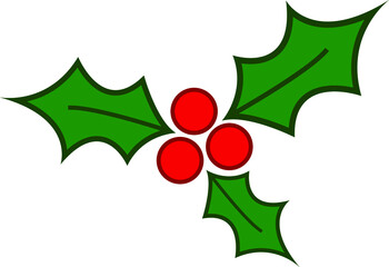 Christmas holly  berry leaf illustration on white background