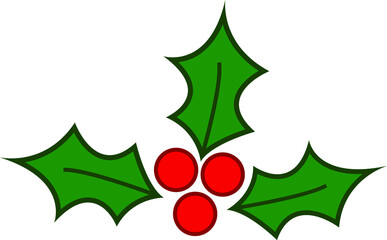 Christmas holly  berry leaf illustration on white background