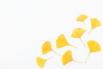 Naklejka premium Yellow autumn leaves of Gingko biloba isolated on white background. Autumn composition. flat lay. top view