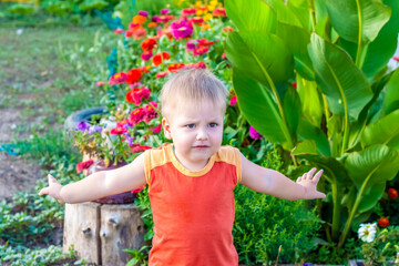 Portrait of a cute little boy. The emotions of a child. A boy poses near a beautiful flower bed.