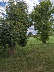 path in the park