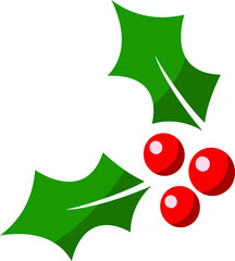 Christmas holly  berry leaf illustration on white background