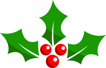 Christmas holly  berry leaf illustration on white background
