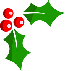 Christmas holly  berry leaf illustration on white background