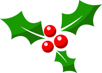 Christmas holly  berry leaf illustration on white background