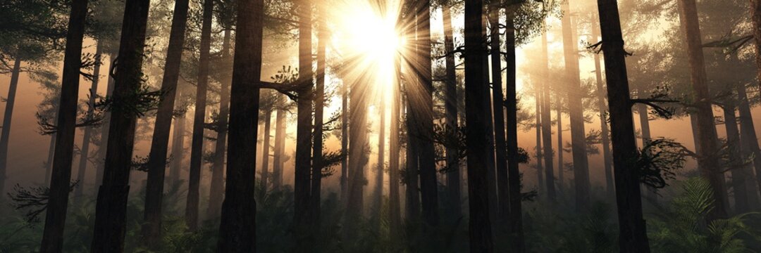 Sun rays through the trees, forest in the fog in the rays of light, trees in the haze, 3D rendering