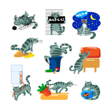 Set Bad Cat Behavior Icons. Kitten Meowing at Night, Scratch and Mark Sofa, Piss into Slipper, Dig in Garbage, Fishing © Pavlo Syvak