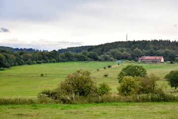 Fototapeta na wymiar rural landscape with a house