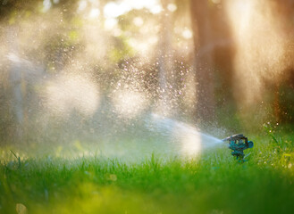 Sprinkler head watering green grass lawn. Gardening concept. Smart garden activated with full...