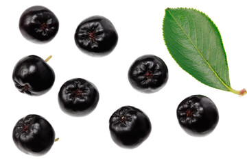 Chokeberry with green leaves isolated on white background. Clipping path and full depth of field. Top view