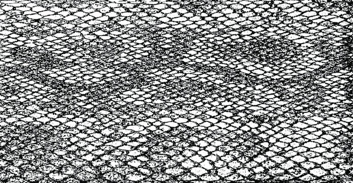 Snakeskin pattern imitation. Lines and spots structural texture. Cool and artsy faux leather background. Abstract vector illustration. Black isolated on white. EPS10