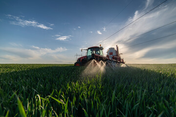 Tractor spraying wheat in field