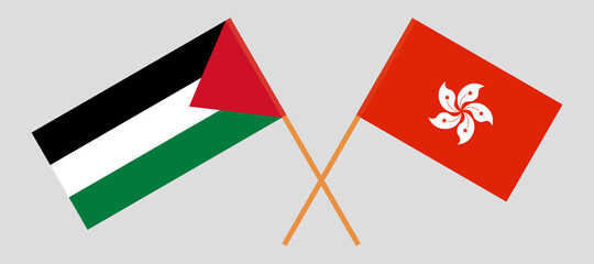 Crossed flags of Palestine and Hong Kong