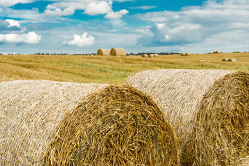 Round bales of hay on farmland with blue cloudy sky