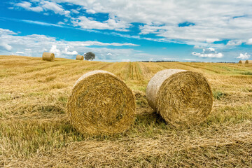 Round bales of hay on farmland with blue cloudy sky