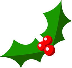 Christmas holly  berry leaf illustration on white background