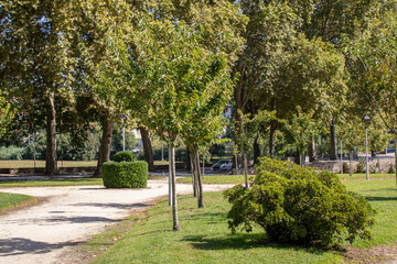 S. Bento - Santo Tirso