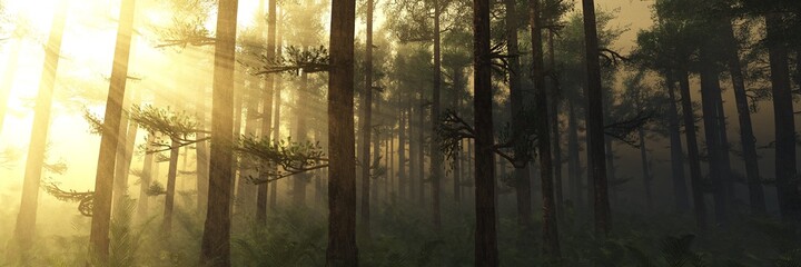 Sun rays through the trees, forest in the fog in the rays of light, trees in the haze, 3D rendering, Forest in the morning in a fog in the sun, trees in a haze of light, glowing fog among the trees - obrazy, fototapety, plakaty