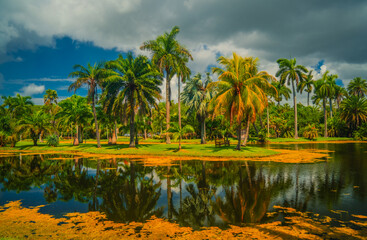 Obraz premium tropical island with palm trees florida 