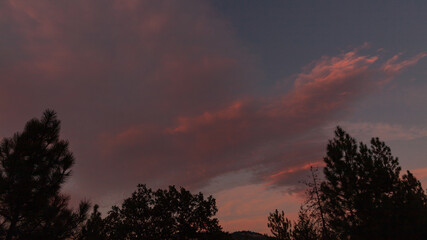 Dramatic Evening Light Landscape.