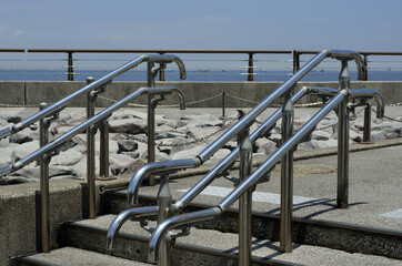 海辺の遊歩道　うみかぜの路　防潮堤