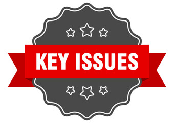 key issues label. key issues isolated seal. sticker. sign