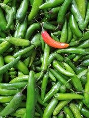 fresh spicy peppers of natural origin to prepare mexican food