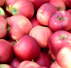 Fototapeta na wymiar Rote reife geerntete Äpfel als Hintergrund und Textur im Sonnenlicht in einer Obstkiste