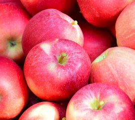 Fototapeta na wymiar Rote reife geerntete Äpfel als Hintergrund und Textur im Sonnenlicht in einer Obstkiste