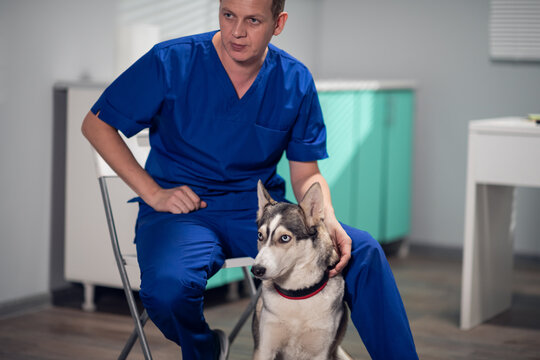 A male vet sitting on a chair posing for a picture with a husky dog.
