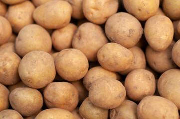 fresh potatoes on the wood box