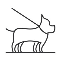 pet dog with leash linear icon design