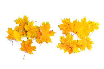 Two heap of colorful autumn maple leaves on white background