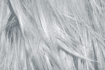 Gray shiny hair as background